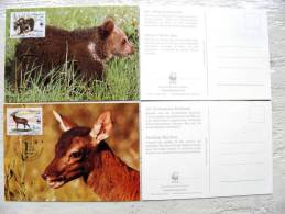 Card Maximum 2 Cards From Italy WWF Panda, Animals Bear Deer 1991 Fdc - Cartes-Maximum (CM)