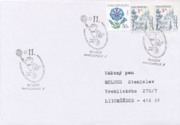 I8417 - Czech Rep. (2004) Pardubice 2: ... (3,00 CZK Stamp - To The Detriment Of Counterfeit Postal Administration!) - Plaatfouten En Curiosa