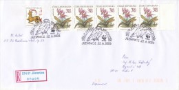 I8431 - Czech Rep. (2005) Jilemnice: Baptism Postal Souvenir Sheet "Giant Mountains" (owl; WWF Logo) - Lettres & Documents