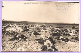 LIBAN - Aprés Le Combat De MOUSSEIFRE - Carte Photo - RARE - Libano