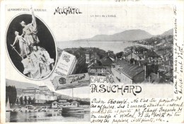 1 Postkarte Timbré 1901 Cach. NEUCHATEL BERN Lac L'EVOLE  Suisse -  Chocolats Suchard, Litho Chocolat Chokolade Cacao  - - Suchard