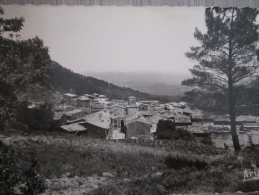 83, La Garde Freinet , Var - La Garde Freinet