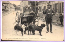 76 - OFFRANVILLE --  Attelage De CHIENS - Offranville