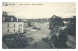 Carte Postale - BOITSFORT - Maison Communale Et Avenue Du Souverain - Tram - CPA  // - Watermael-Boitsfort - Watermaal-Bosvoorde