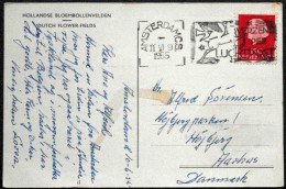 Netherlands 1953 Cards To Denmark ( Lot 532 ) - Storia Postale