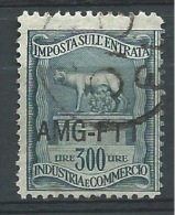 MARCA DA BOLLO/REVENUE  - TRIESTE AMG FTT -IGE  L. 300 - Revenue Stamps