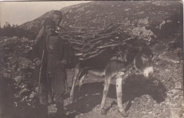 CP Photo 14-18 Albanie - Type D'enfants Albanais Avec Un Mulet (âne) Pour Le Transport Du Bois (A86, Ww1, Wk1) - Albanien