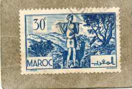 MAROC : Les Arganiers (Argania Spinosa L.) - Arbres Et Personnage - - Oblitérés