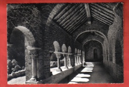 66 -  LE ROUSSILLON - CPSM 36611 - Cloître De L'Abbaye De Saint-Martin Du Canigou - éd SL - Roussillon