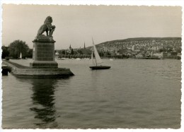 Zürich, Zürichsee, Foto, Löwe Beim Hafen Enge, 15.5.1953 - Enge