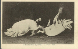 CPA - COCHONS HUMANISES - LE TIRE BOUCHON IMPROVISE - N°5 - Schweine