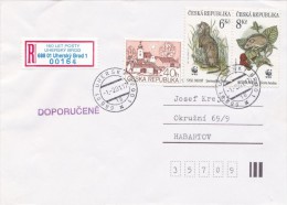 Czech Rep. / Occasional R- Label (2001/04) 688 01 Uhersky Brod 1: 160 Years Post Office; Stamp: WWF (I8557) - Cartas & Documentos