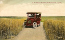 In The Wheat Fields Of Saskatchewan - Autres & Non Classés