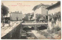 REALMONT - 81 - Tarn - Quartier Des Fontaines 1900..... - Realmont