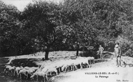 VILLIERS-LE-BEL LE PATURAGE MOUTONS ET LEURS BERGERS - Villiers Le Bel