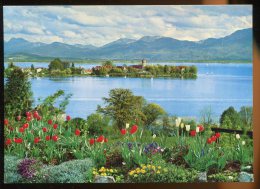 CPM Neuve Allemagne CHIEMGAUER ALPEN Am Chiemsee Bayerische Alpen - Chiemgauer Alpen