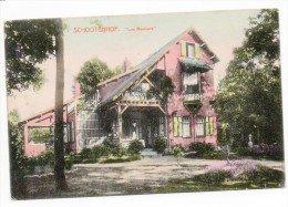 29273  -    Schootenhof     Les  Ramiers   -  Couleur - Schoten