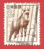 GIAPPONE - JAPAN - USATO - 1952 - FAUNA - Japanese Serow (Capricornis Crispus) - 8 ¥ - Michel JP 588 - Oblitérés