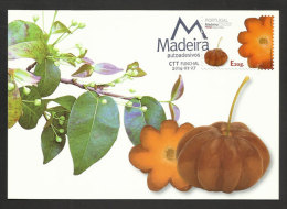 Portugal Fruits De Madère Cerisier De Cayenne Carte Maximum 2014 Madeira Fruit Pitanga Eugenia Uniflora Maxicard - Maximumkaarten