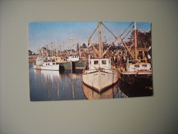 ETATS UNIS MA MASSACHUSETTS CAPE COD THE FISHING FLEET AT ROCK HARBOUR - Cape Cod