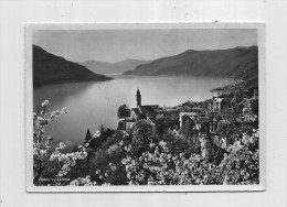 Cp , SUISSE , TI , Ronco S. Ascona , Voyagée 1958 , Ed : Steinemann - Ascona