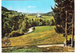 Deutschland - Hinterzarten Im Schwarzwald Mit Feldberg - Feldbergblick - Hinterzarten