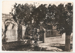 Algérie -  Constantine - Barika - école Arabe Française De Garçons En 1959 - Constantine