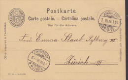 Switzerland Postal Stationery Ganzsache Entero 5 C Ziffer Im Oval AMBULANT No. 25 1896 To ZÜRICH 6. Aussersihl (2 Scans) - Ganzsachen