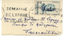 N°314 Sur Lettre (semaine De L'arbre 14-20 Jan51) - Lettres & Documents