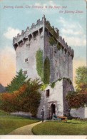 NV7/  Blarney Castle, Entrance To The Keep,Blarney Stone,   Co. Cork Ca 1910 - Cork