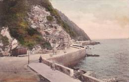 8)NV7/ Plymouth Promenade Frith 59393 (ca 1908) - Plymouth