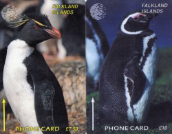 TELECARTES  FALKLAND  £10/£7,50  Oiseaux  Birds  (lot De 2)  ***** - Falklandeilanden