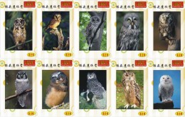 O03210 China Phone Cards Owl 60pcs - Búhos, Lechuza