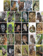 O03212 China Phone Cards Owl Puzzle 116pcs - Eulenvögel