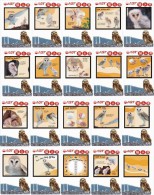 O03213 China Phone Cards Owl 20pcs - Gufi E Civette