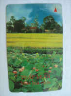 Vietnam Viet Nam Used Magnetic 60000d Phone Card / Phonecard : Thap Muoi / 02 Images - Vietnam