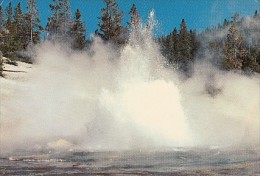 7313- POSTCARD, YELLOWSTONE NATIONAL PARK- ECHINUS GEYSER - Yellowstone