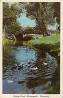 7316- POSTCARD, MINNEAPOLIS- LORING PARK, DUCKS, GEESE, BRIDGE - Minneapolis