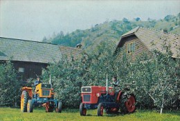 7398- POSTCARD, AGRICULTURE, TRACTORS, UNIVERSAL 445L AND 550V - Trattori