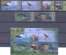 2014. Moldova, Fauna Of Moldova, Birds,snails,fishes, 6v + S/s,, Mint/** - Montenegro