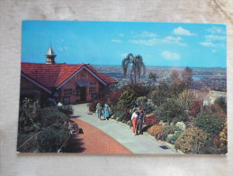 Australia   Brisbane -The Rockery  And Lookout At Mt. Coot-tha    D120671 - Brisbane