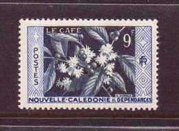 NOUVELLE-CALEDONIE 1955 LE CAFE   YVERT N°286  NEUF MLH* - Ongebruikt