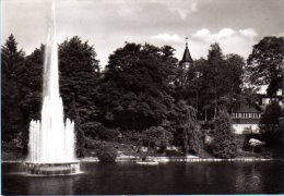 Aue In Sachsen - S/w Im Stadtgarten - Aue