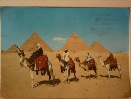 Cart. -  Egitto Giza -  Cammellieri Arabi Di Fronte Alle Piramidi. - Dschirdscha