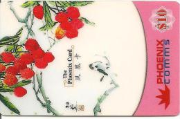 CARTE-PREPAYEE-US-PHOENIX -10$-06/2002-FRAMBOISES Et OISEAU-TBE - Andere & Zonder Classificatie