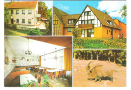 Deutschland - 8531 Ipsheim - Gasthof Pension Hohenecker Forst - Bad Windsheim