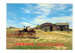 Etats Unis: Prairie Homestead Historic Site, Interior, South Dakota (14-3583) - Sonstige & Ohne Zuordnung
