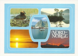 Cp, Norvège, Nord Norsk Natur, Multi-Vues - Noruega