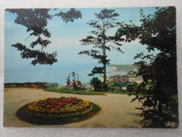 CP 76 VEULETTES SUR MER  -  Vers Cany Barville -  Vue Panoramique Et La Falaise Du Pont Rouge 1972 - Cany Barville