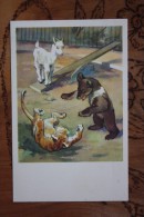 Old USSR Postcard. STROGANOVA. LITTLE CUBS. Goat Bear Tiger. 1969 - Tigers